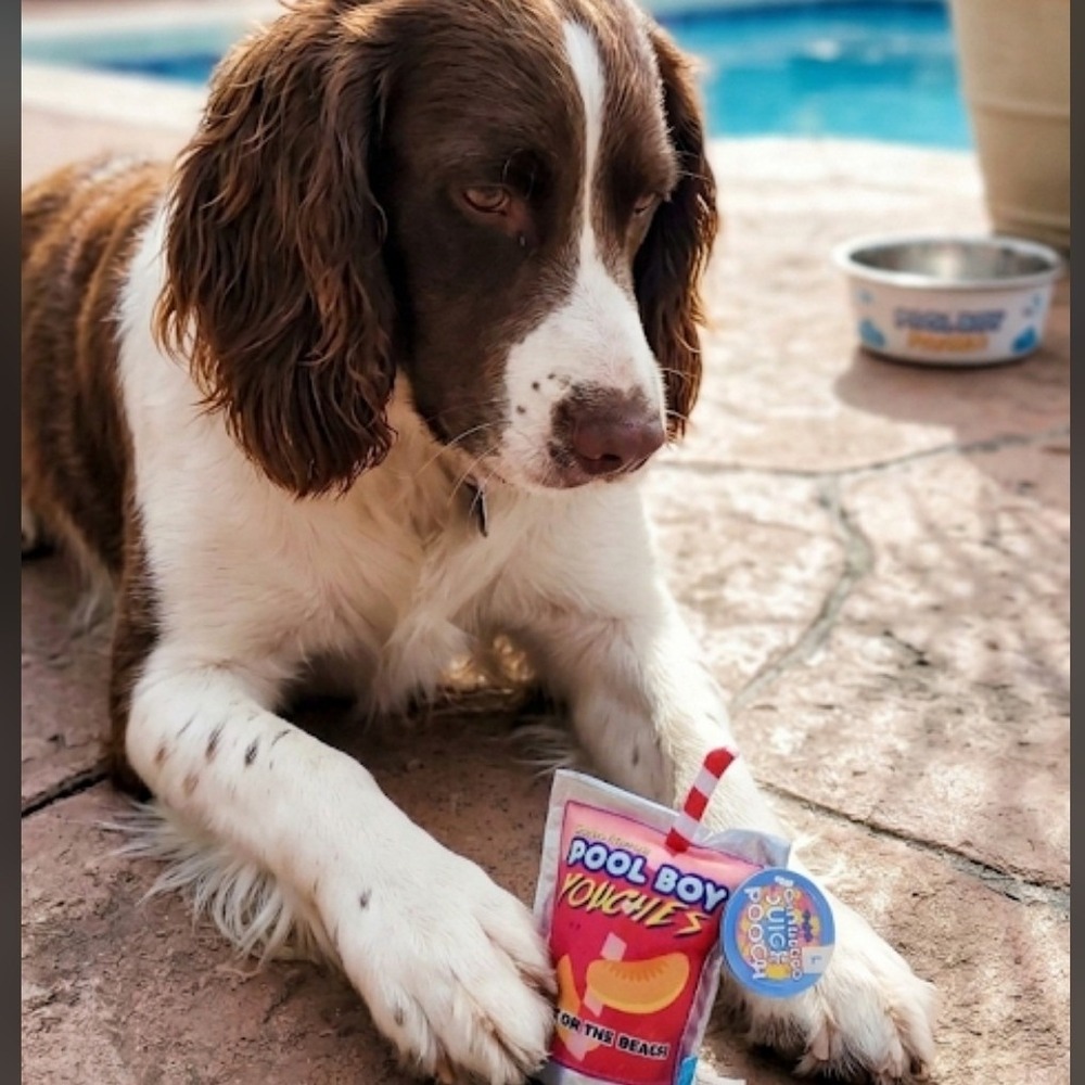 Bark Box Boozehound Juice Pooch Pool Boy Pouches Dog Toy Large Pink Silver NWT - Picture 2 of 9